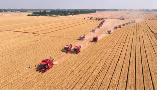 硬核重工 “丰”景里的潍柴雷沃农机力量